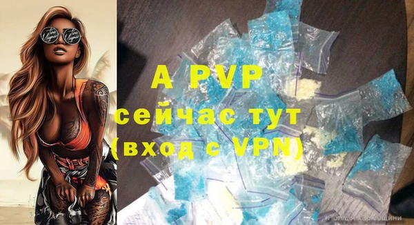 шишки Аксай