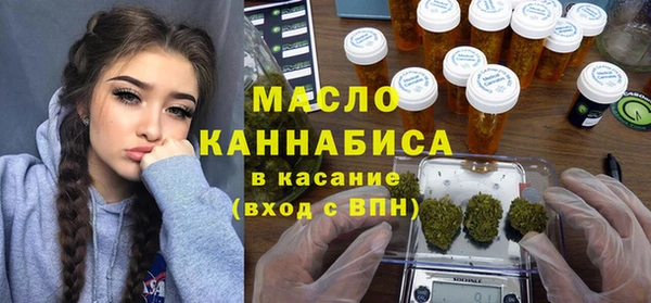 гидра Мегион
