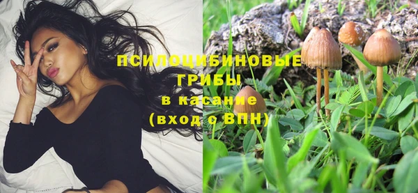 бошки Медногорск
