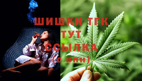 бошки Медногорск