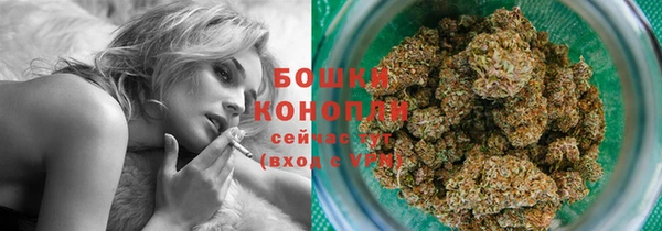 гидра Мегион