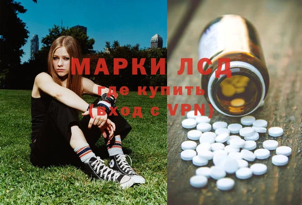гашик Алагир