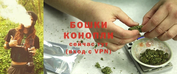 гидра Мегион