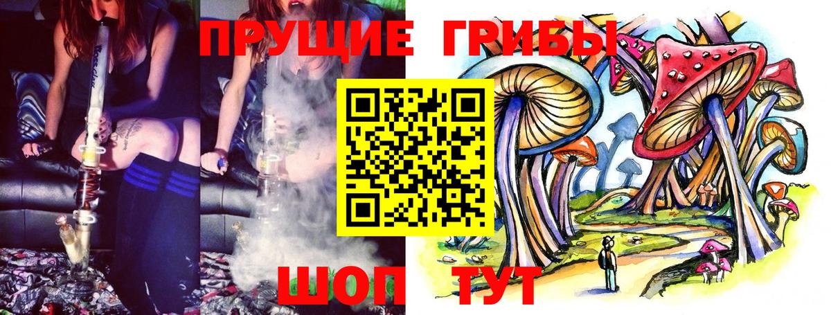 Галлюциногенные грибы мицелий  Грозный 