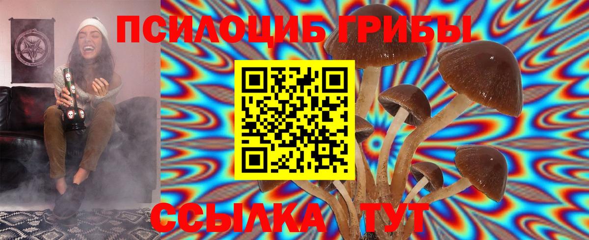 Галлюциногенные грибы Cubensis Грозный