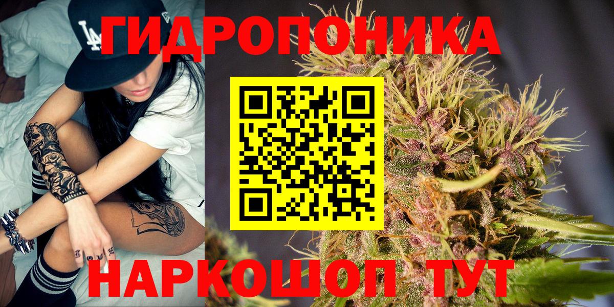 Конопля SATIVA & INDICA Грозный